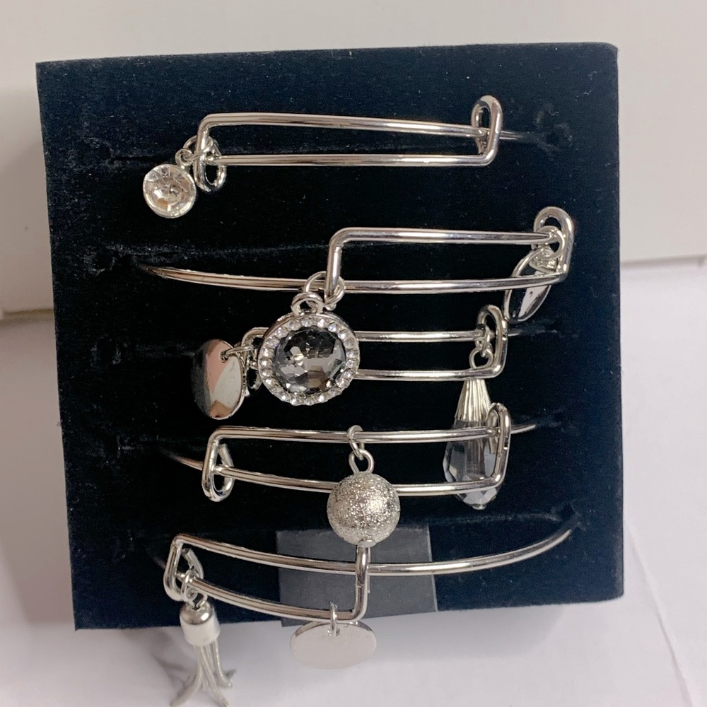 Christopher & Banks Silver Charm Bracelet Set